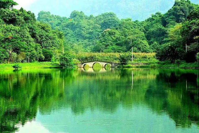Cuc Phuong National Park in Frames – Ancient Forests, Wildlife & Natural Beauty