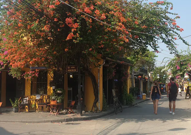 Hoi An Photo Gallery