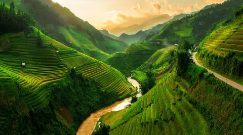 Best Time to Visit Vietnam: The Ultimate Month-by-Month Regional Guide