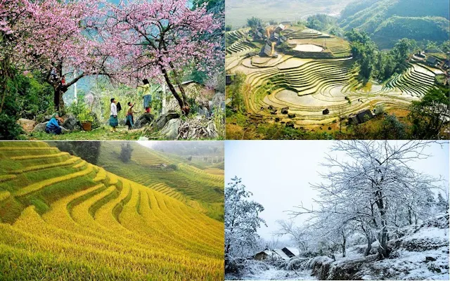 About Seasonal in Vietnam