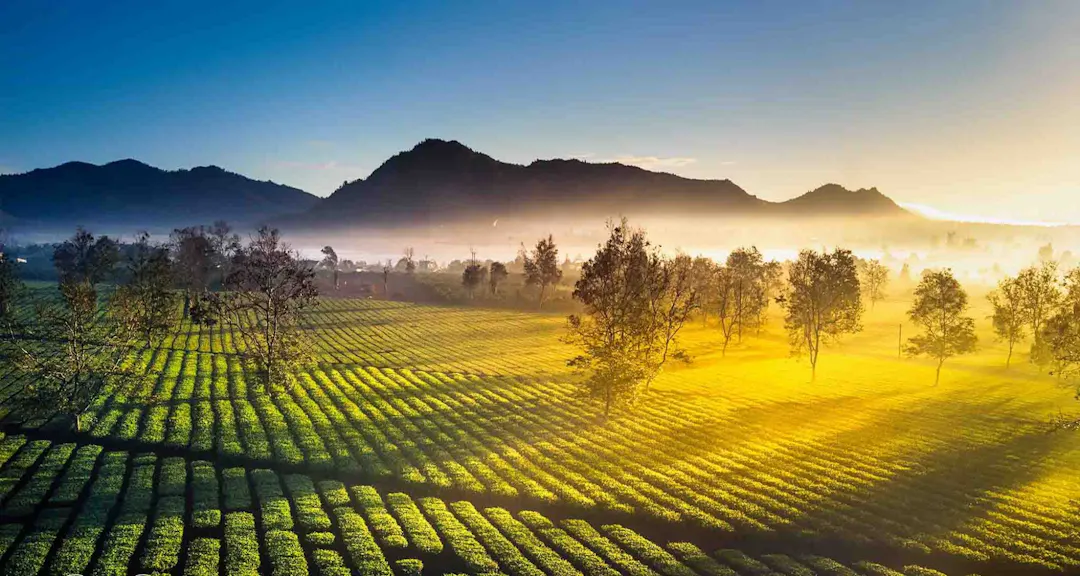 Decoding Summer Weather – Heat, Humidity, and Monsoon Realities