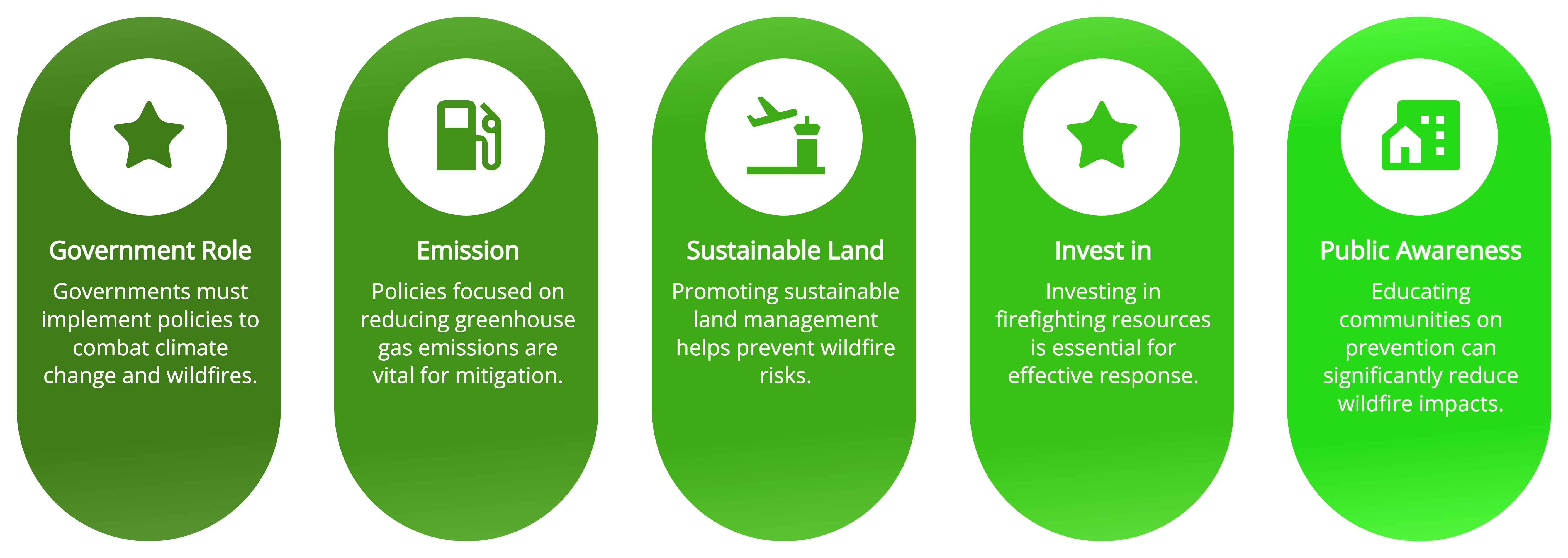 Mitigation and Adaptation Strategies  Policy Measures infographic