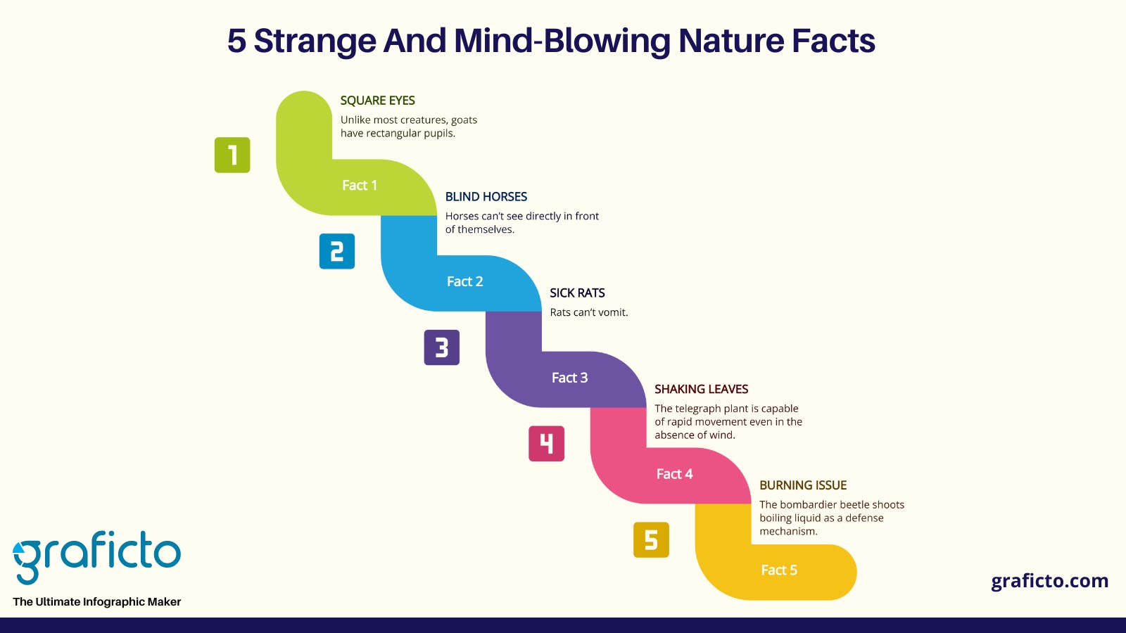 Five strange and mind blowing nature facts infographic design