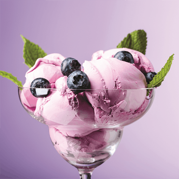 Ice Cream Maker Blueberry Ice Cream Recipe House Blog House