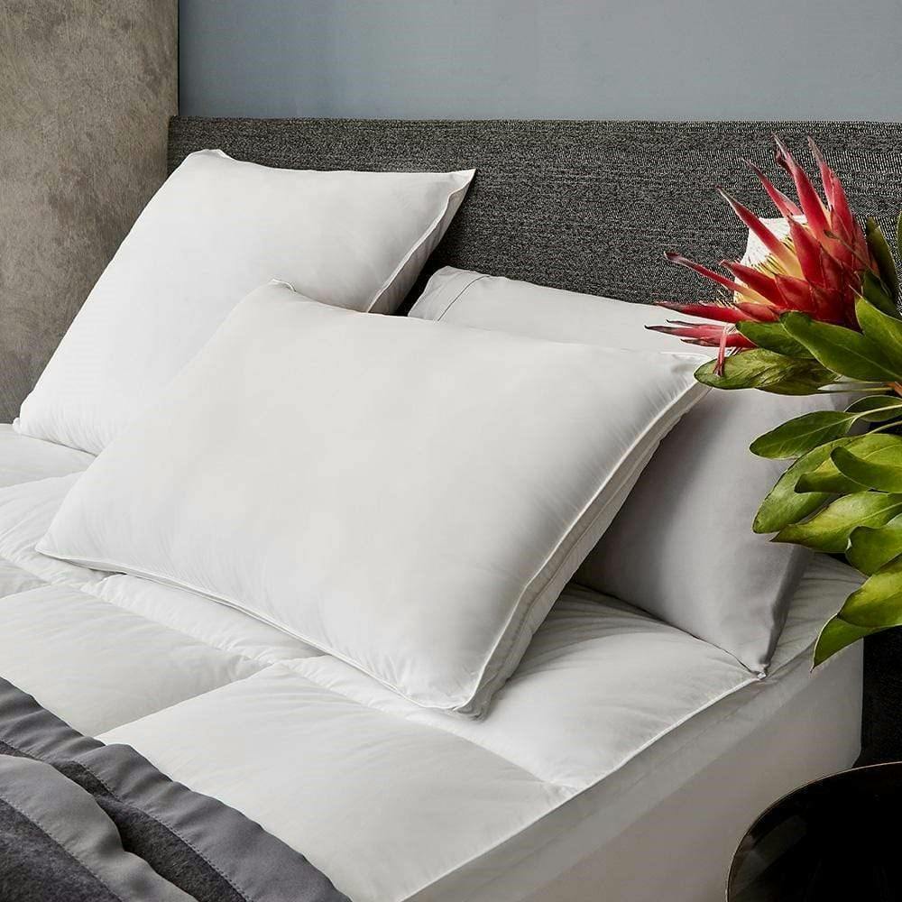 Your Complete Guide To Selecting The Right Pillow Blog MyHouse