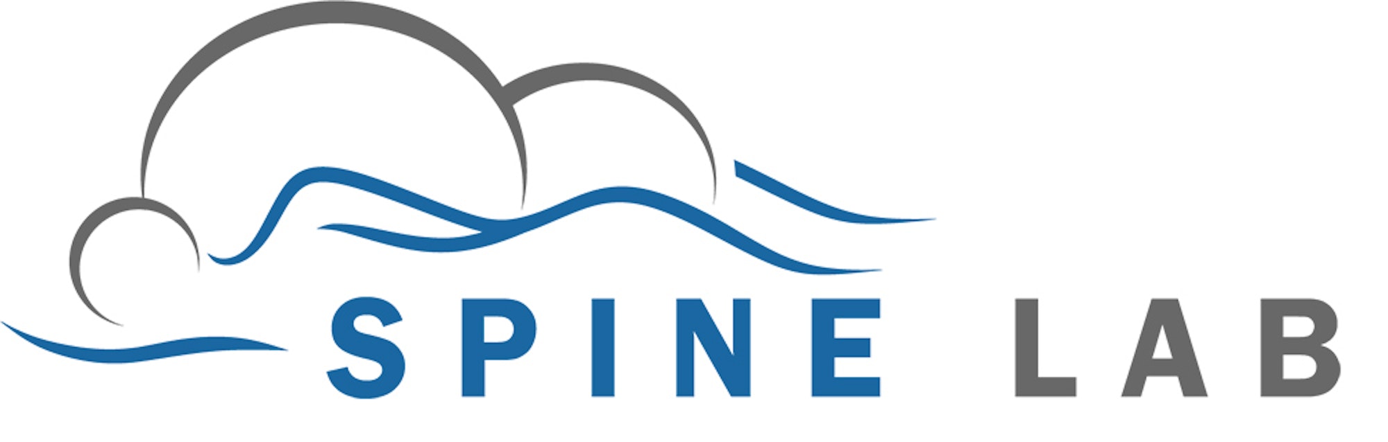 Spine-Lab