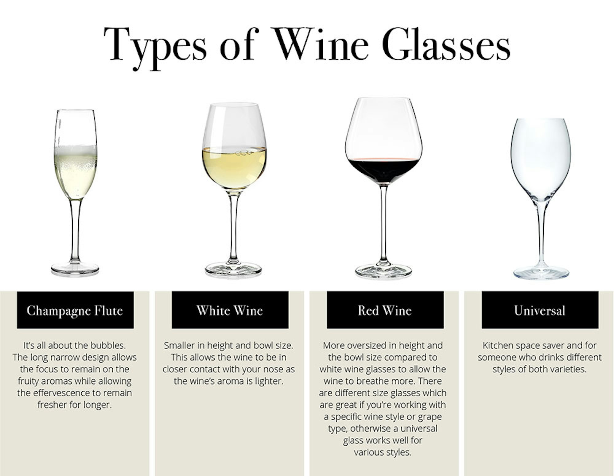 Types of wine glass infograph