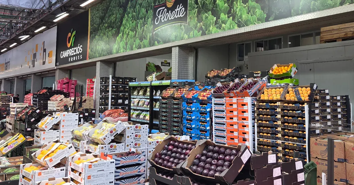 Green Bargosa's new stands in Mercabarna Pavilion A