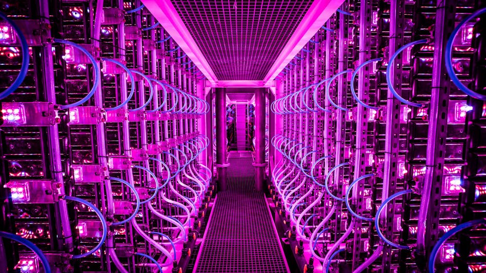 microalgae growroom