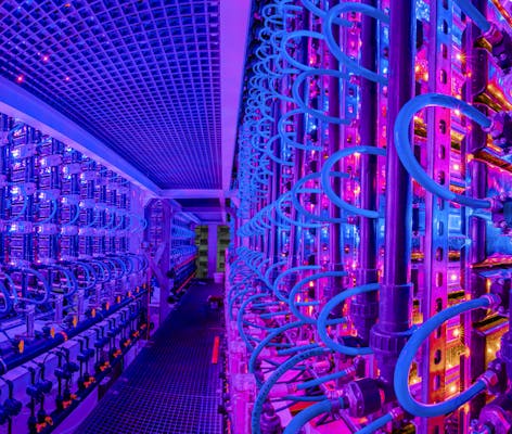 microalgae growroom