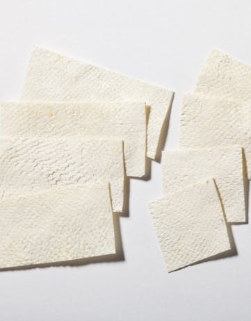 Kerecis fish skin sections