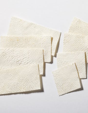 Kerecis fish skin sections 