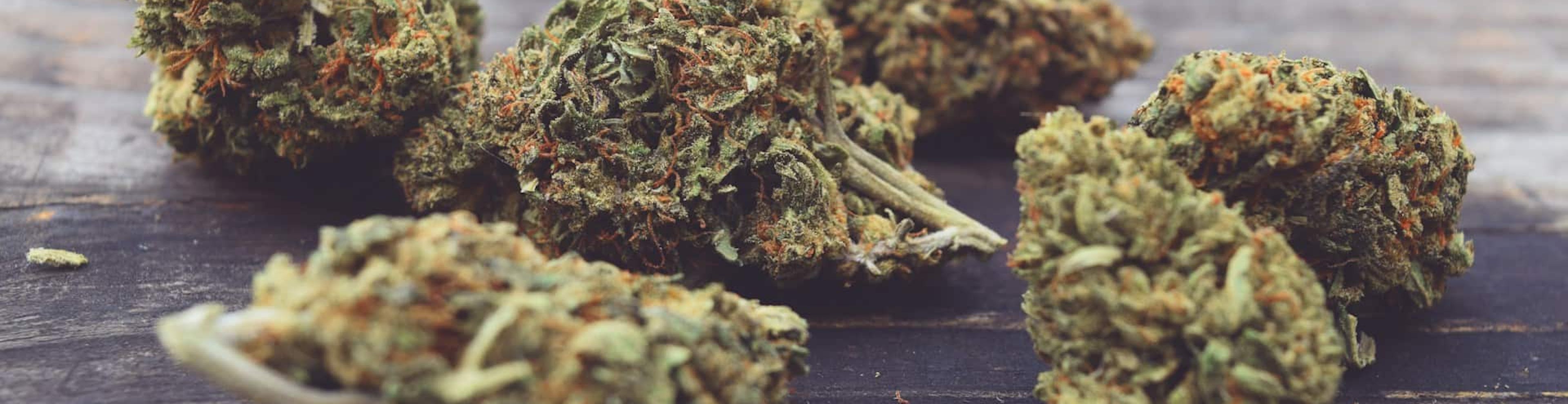 Medical vs. Recreational Cannabis in Boston