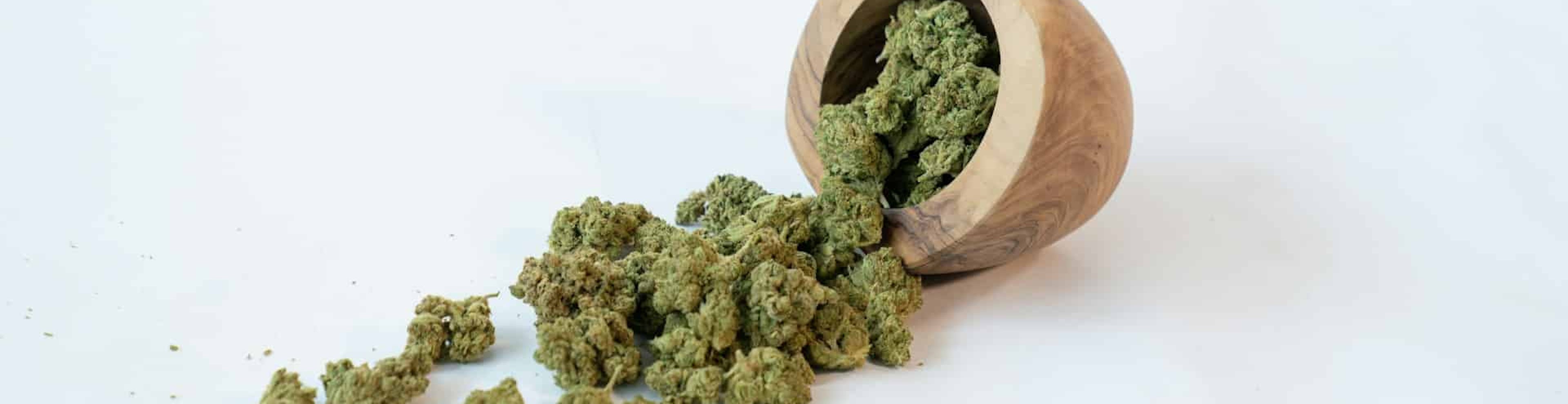 The 2025 Greater Boston Cannabis Product Guide