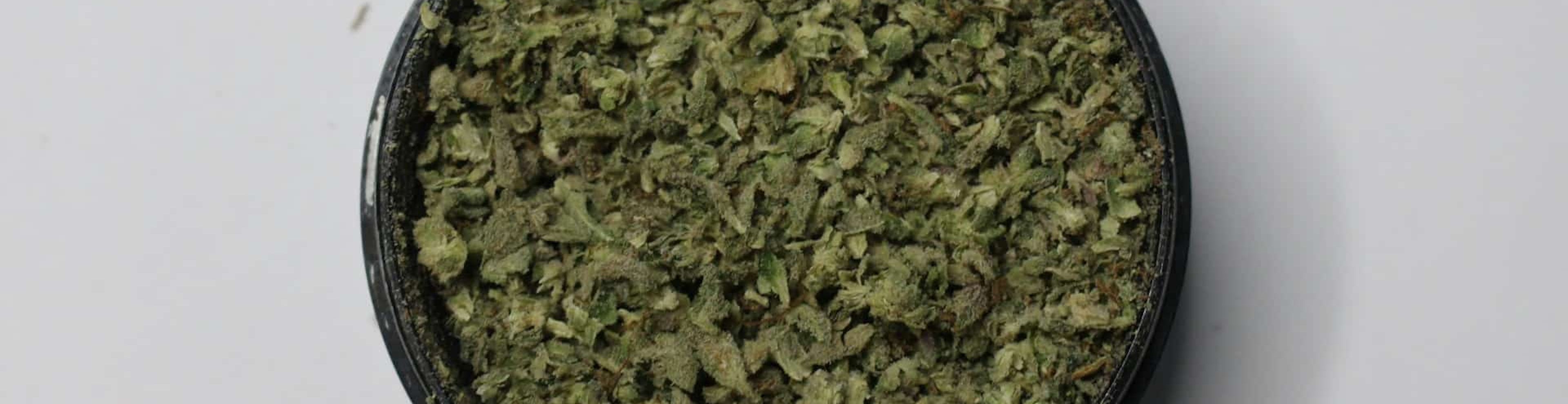 Cannabis Near Me in Boston: Ultimate 2025 Neighborhood Guide to Top Dispensaries