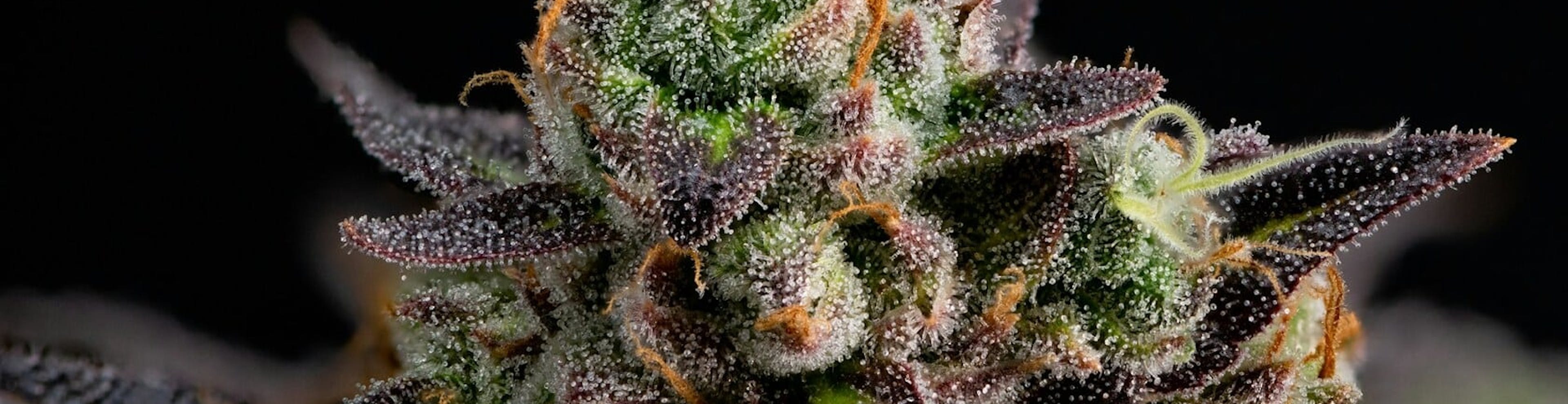 Deli-Style Flower