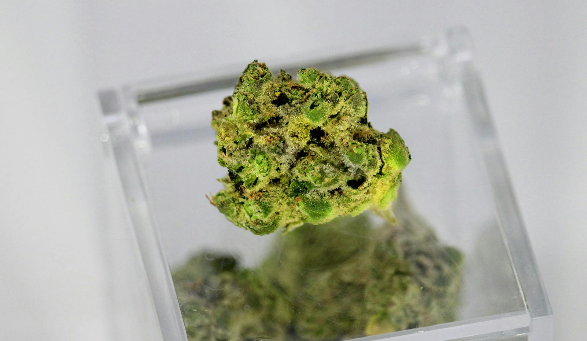 The Science of Terpenes: More Than Just Smell