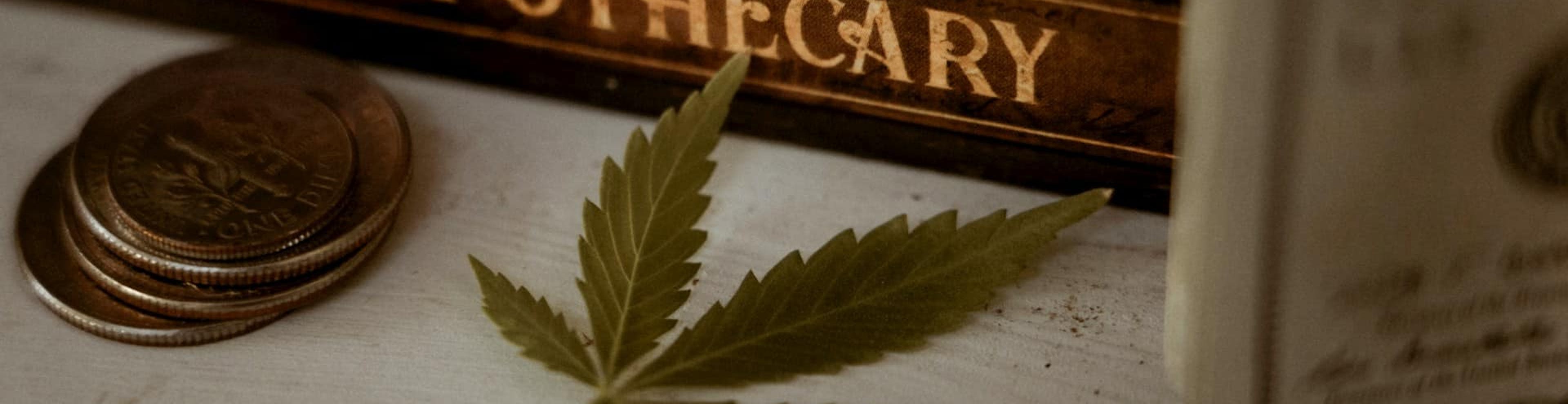 The History of Cannabis in Massachusetts
