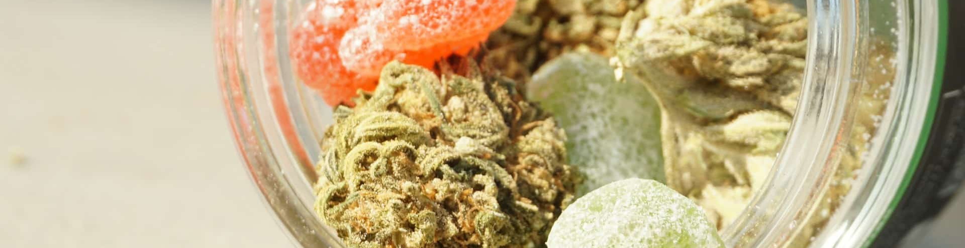 Cannabis Edibles and Cambridge Culture