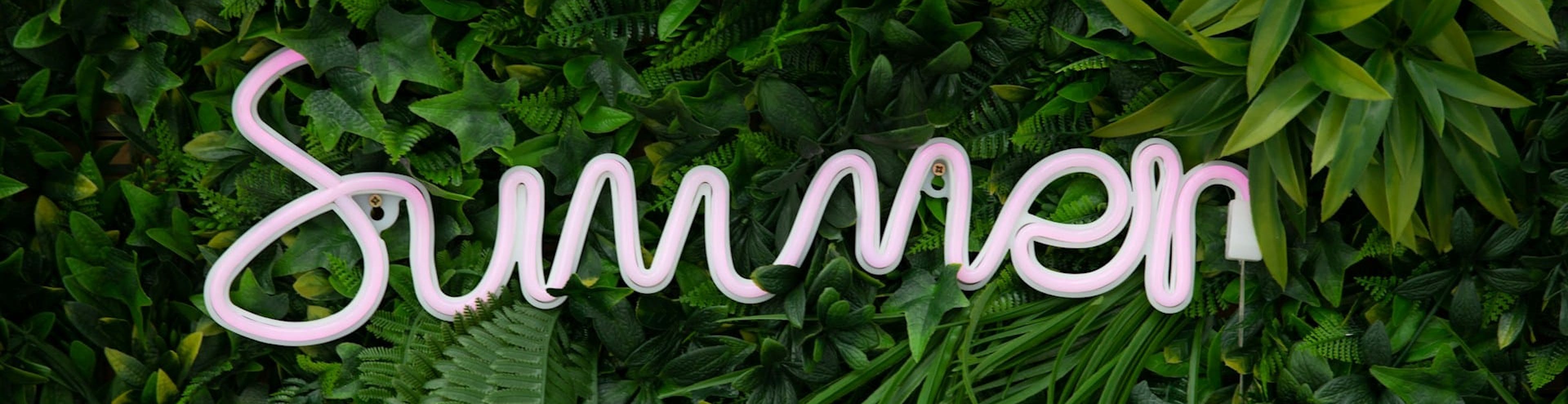 Summer Cannabis Activities in Cambridge