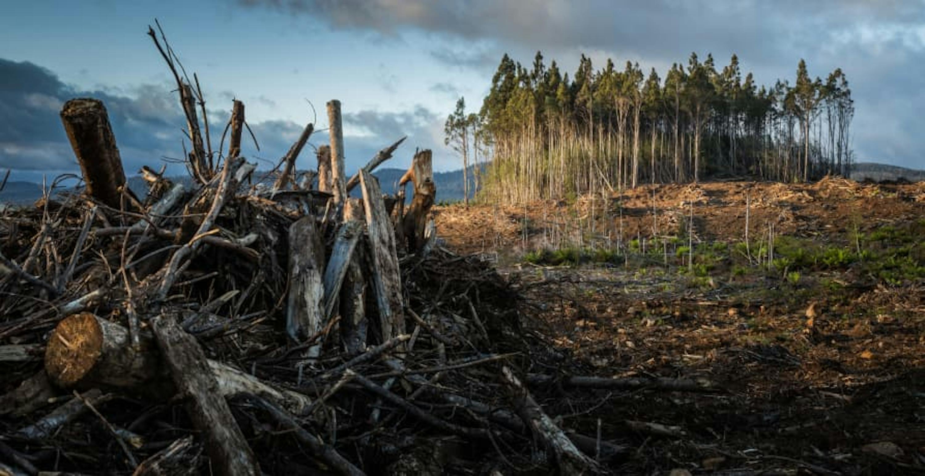 area ruined by effects of climate change