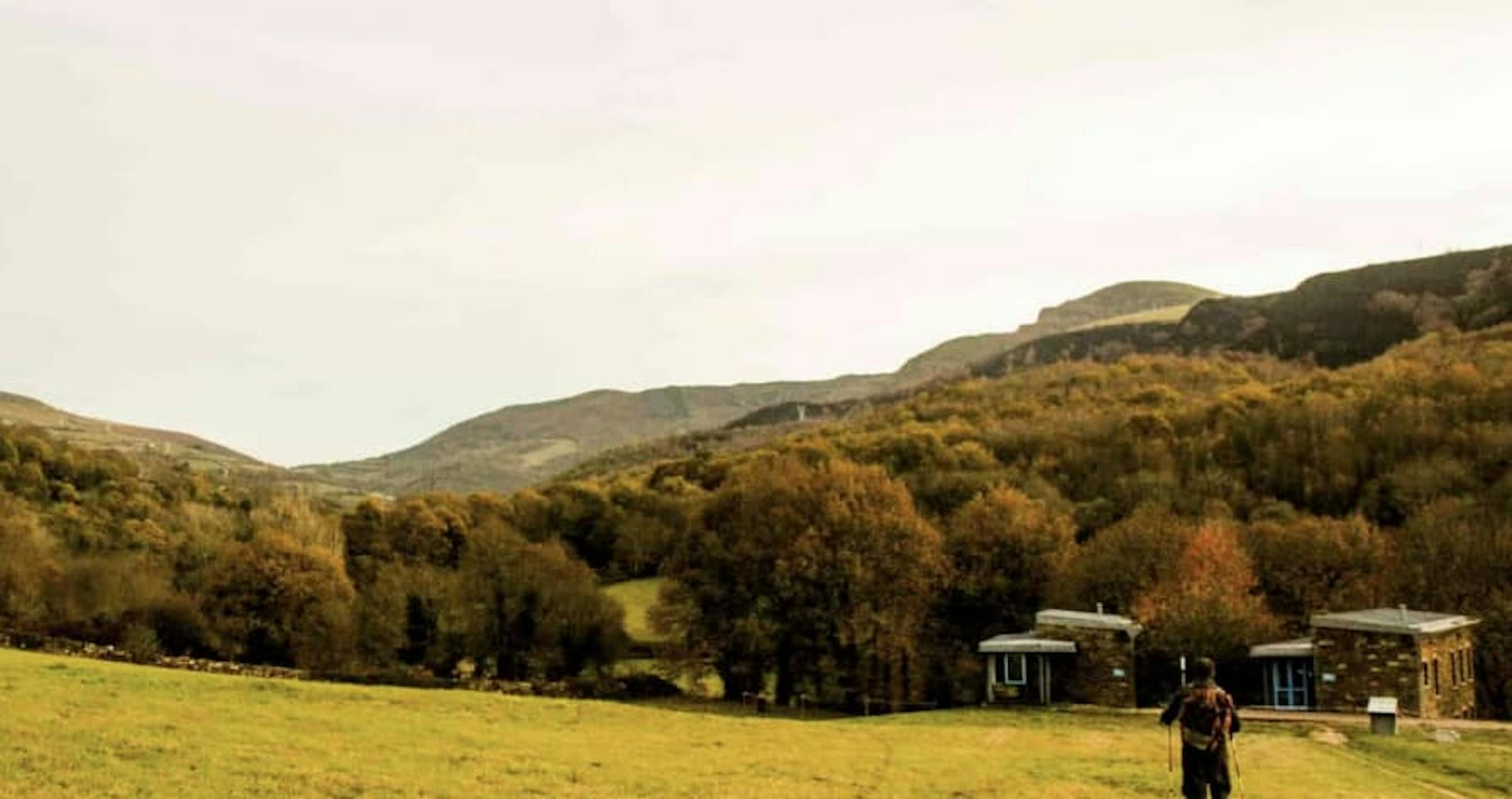 Person standing at green field