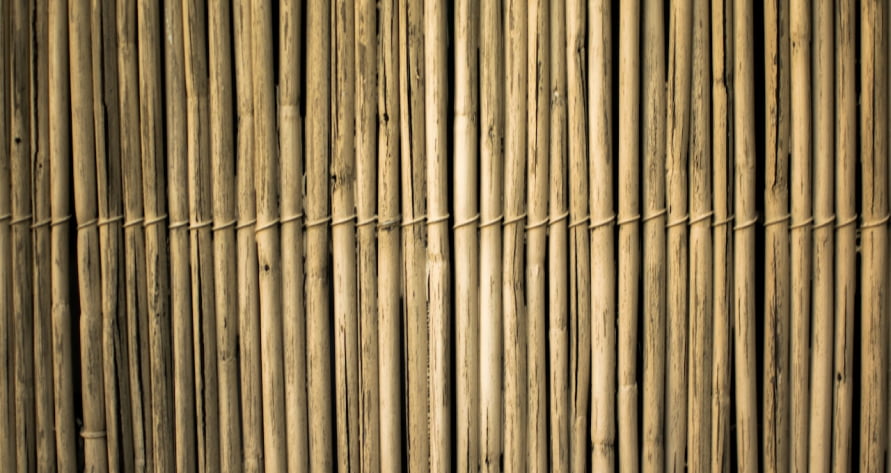 bambous
