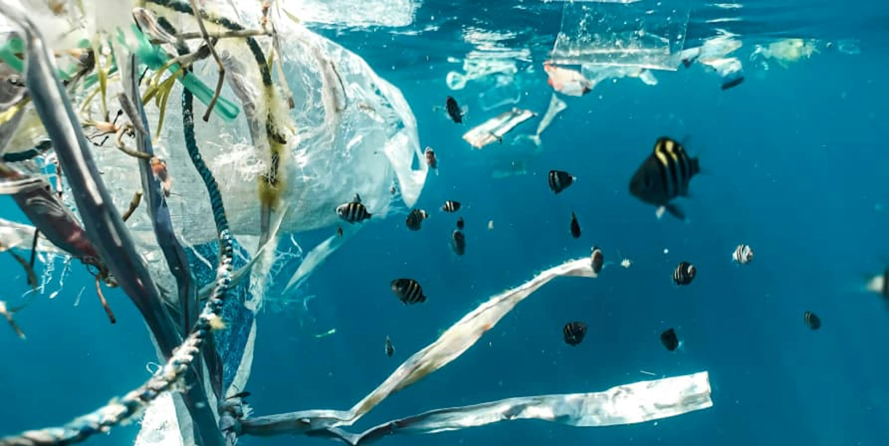 plastic in the ocean