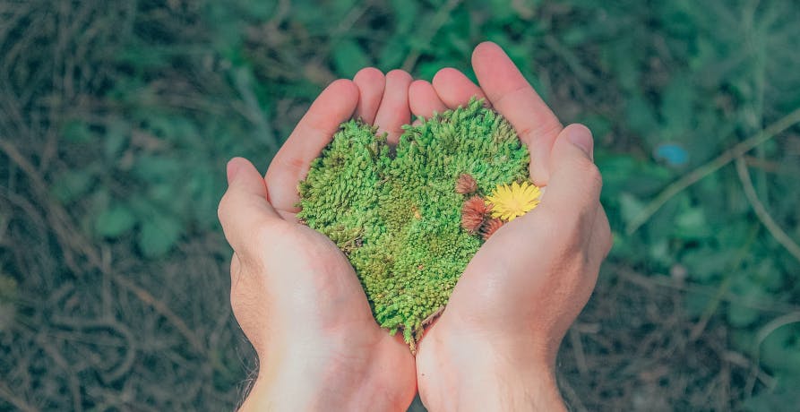 de la pelouse qui forme un coeur dans le creux des mains 