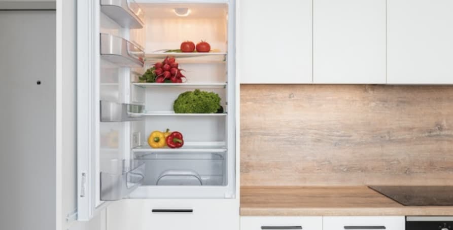 refigerator open white kitchen