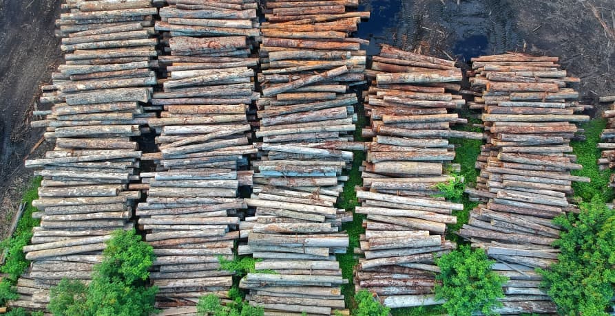 logs that have been chopped down