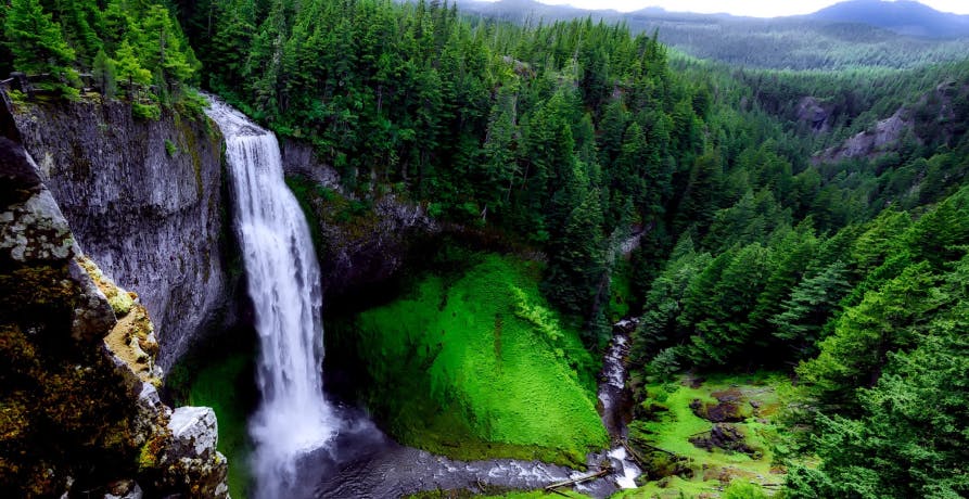 waterfall in nature with green trees