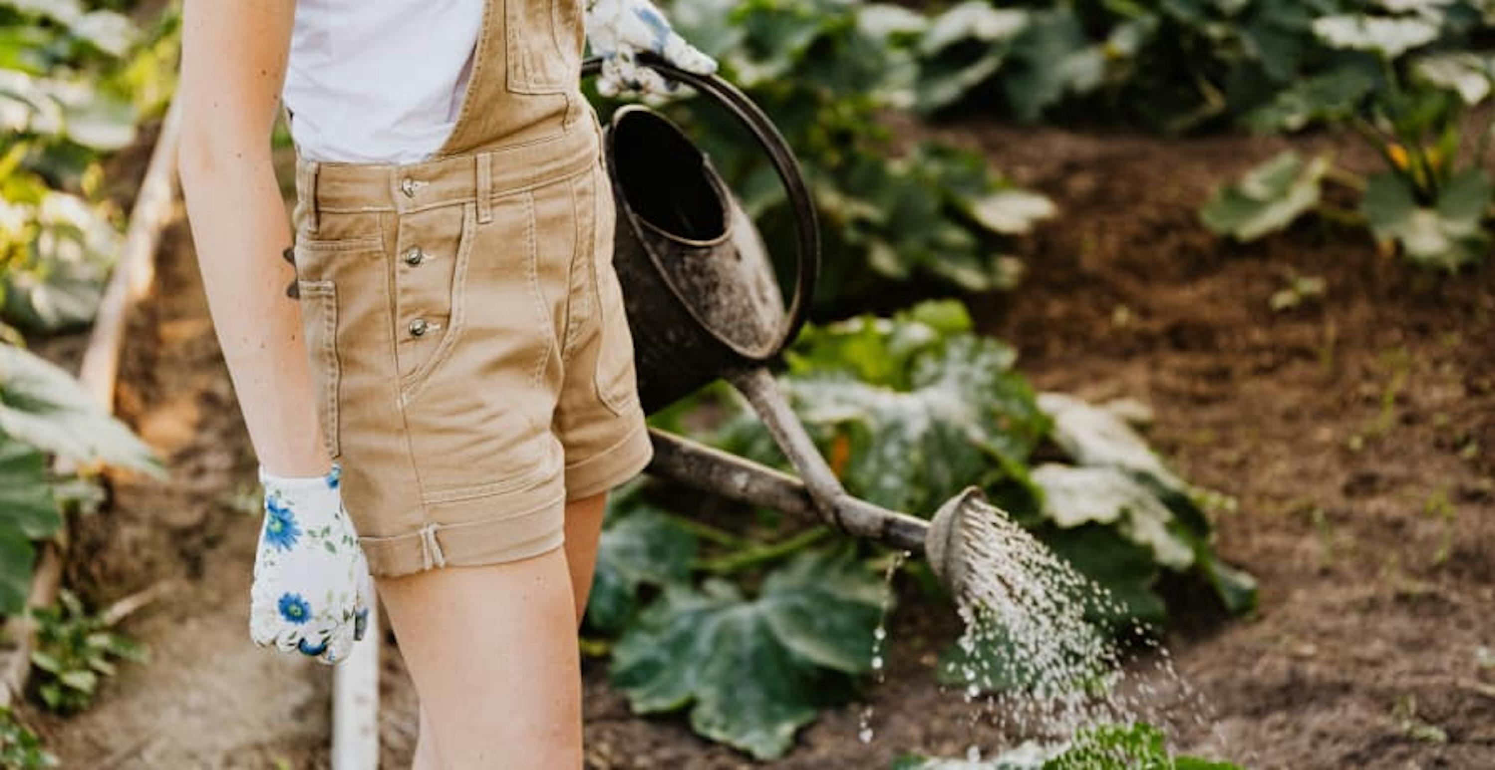 woman holding a watering can and watering vegetables