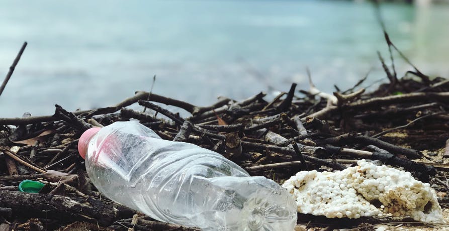 plastic bottles washed up on beach