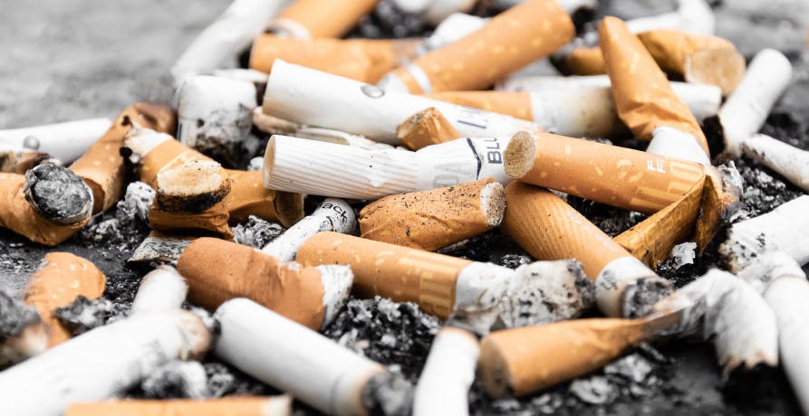 Interdiction des filtres de cigarettes : le Conseil national