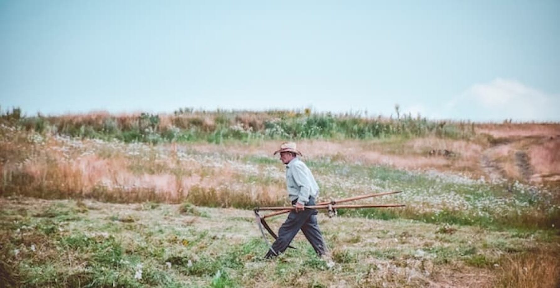 farmer in field