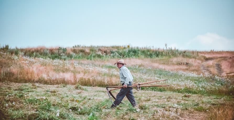 farmer in field