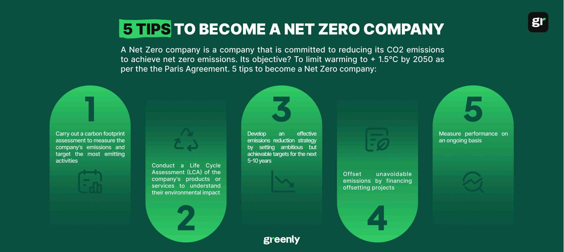 infographic net zero company