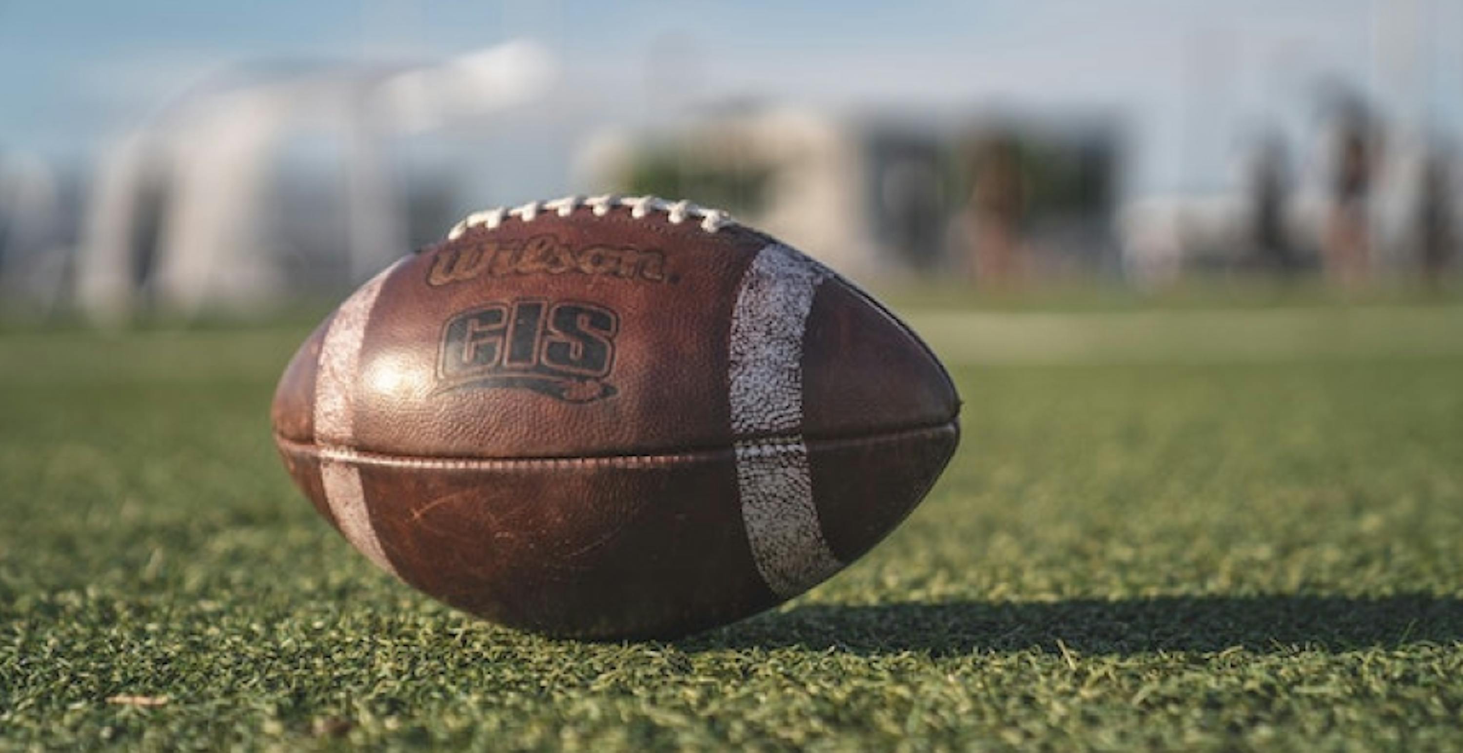 football sitting on the grass