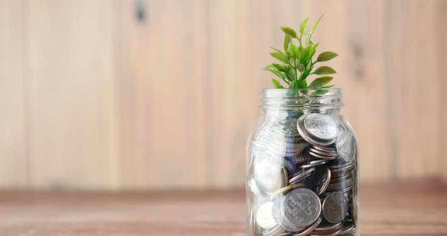 coin jar with seedling