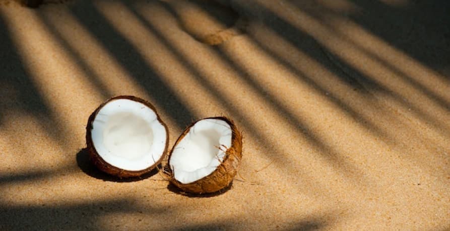 coconuts