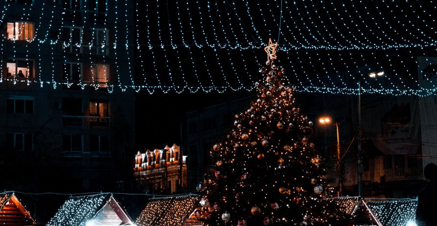 Christmas tree in city at night