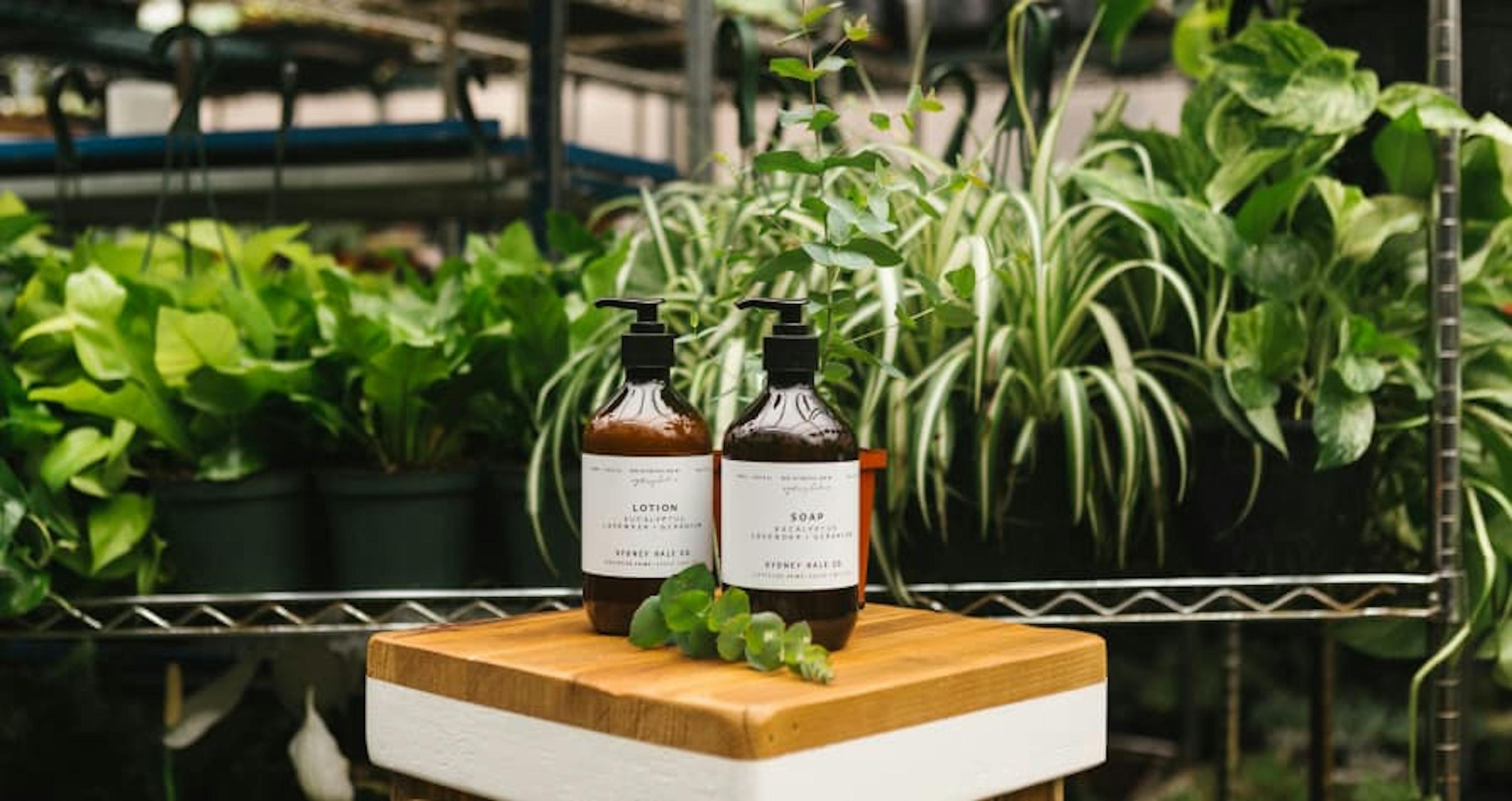 dispenser surrounded by plants