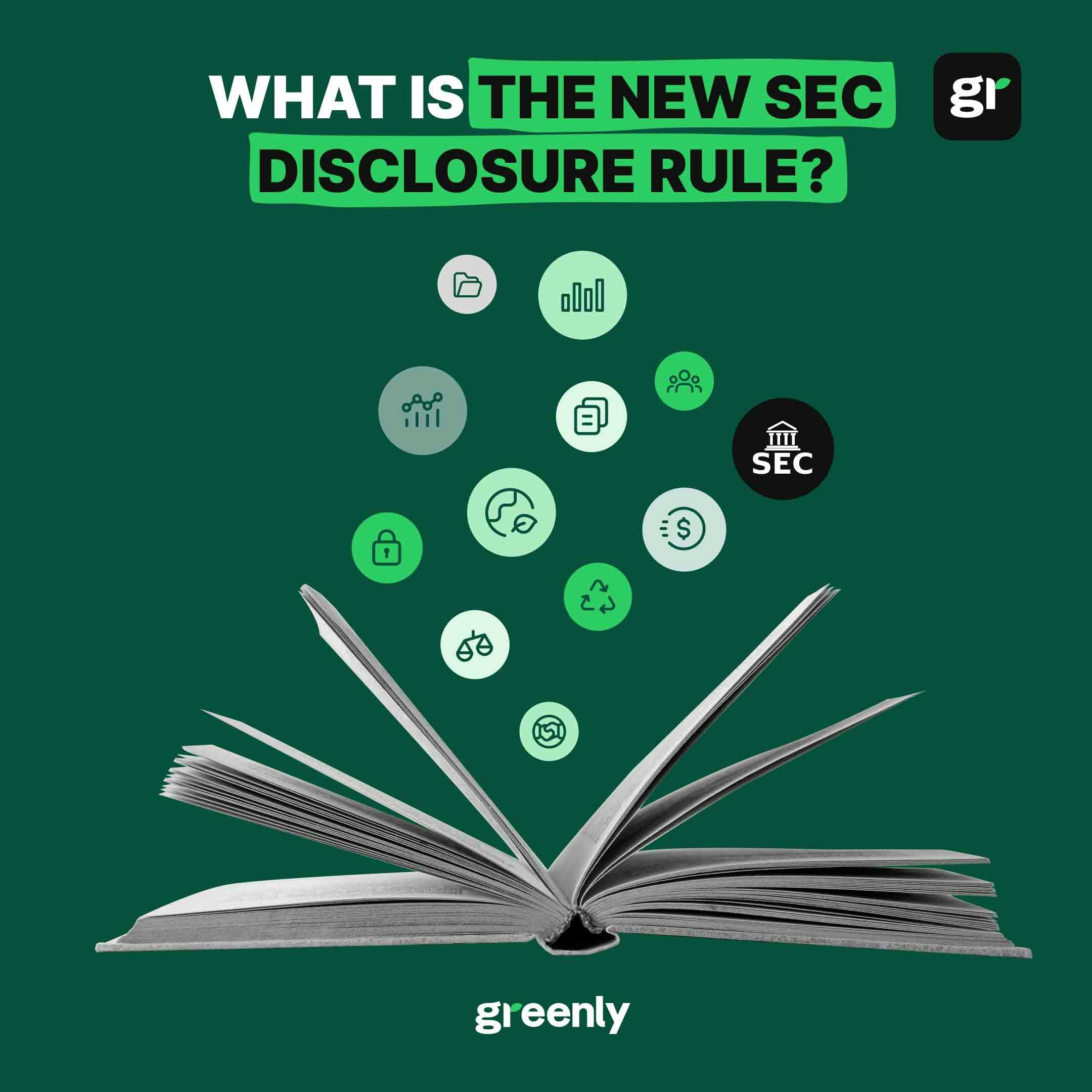 sec disclosure rule infographic cover