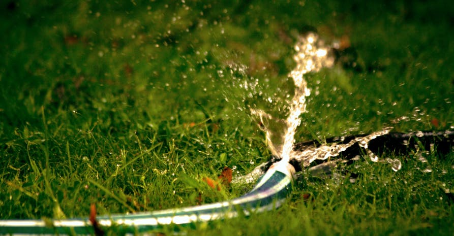 sprinkler hose on grass
