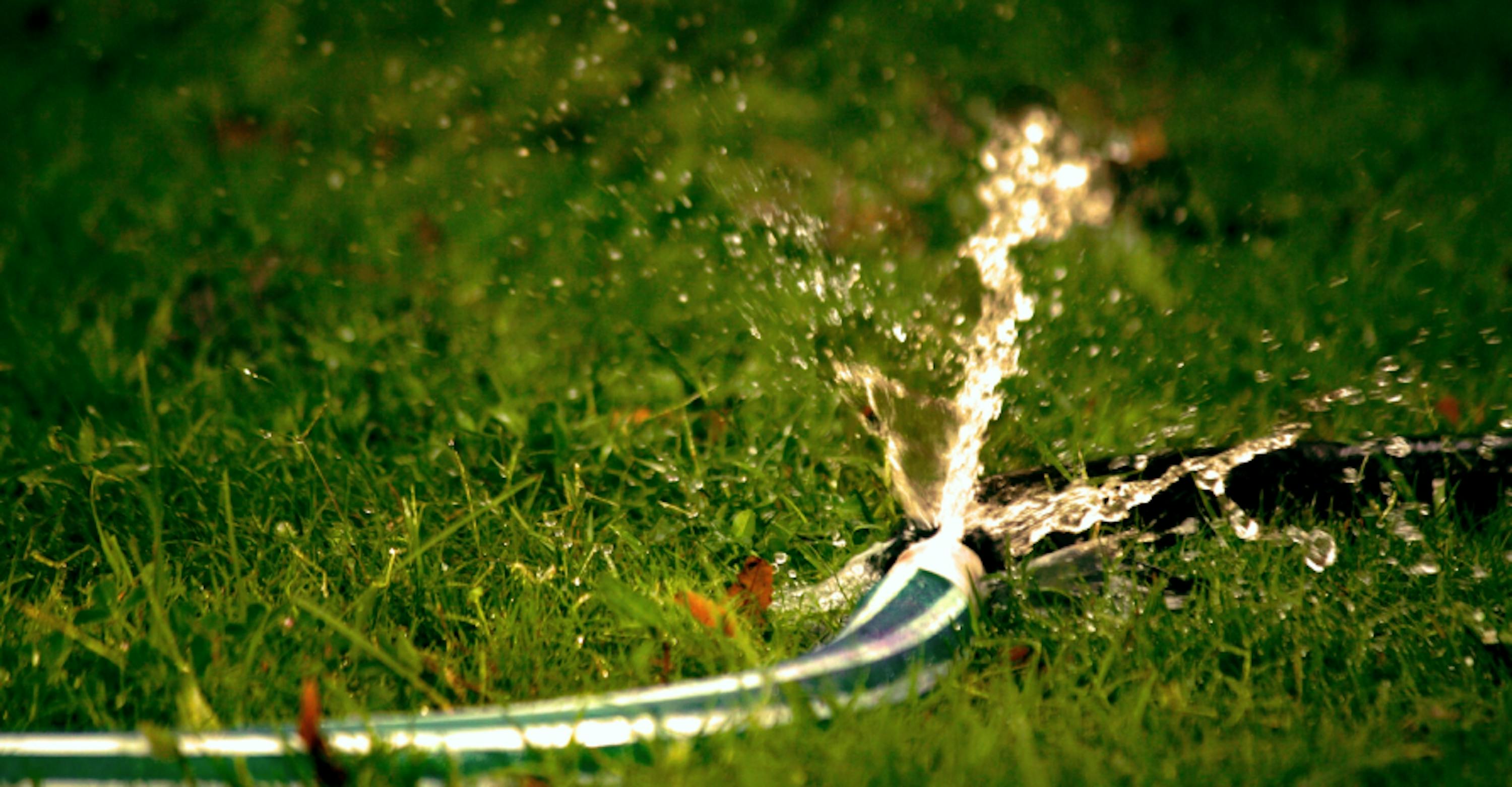 sprinkler hose on grass