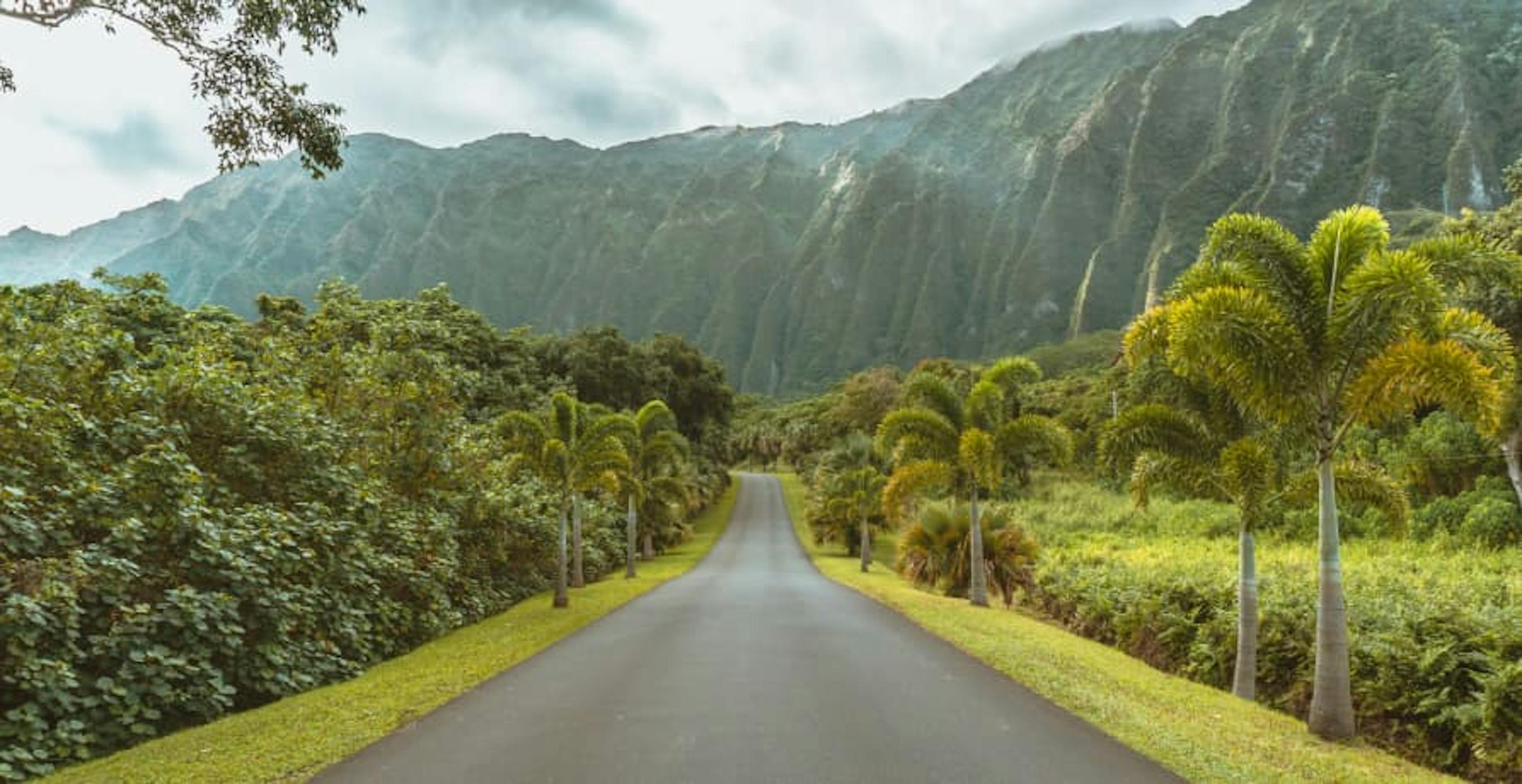 road in hawaii