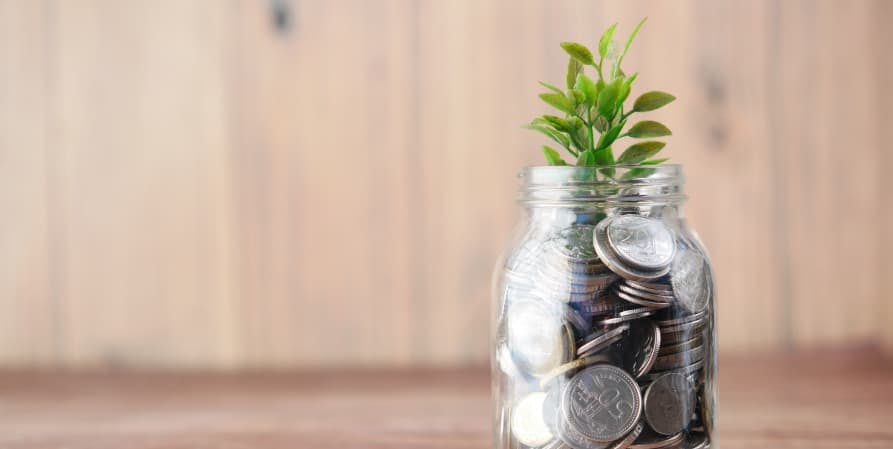 silver coins in a mason jar with a seedling plant
