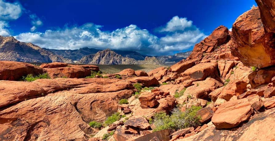 view of red rock nevada