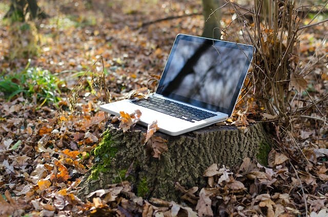 a laptop on a stump